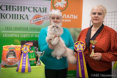   13-14  2019 .  1-116-0444.jpg