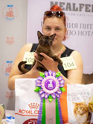   24-25  2019 .  9-105-0335.jpg