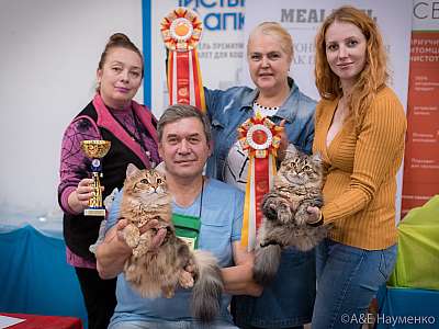  21-22  2019 .   1-190-0781.jpg