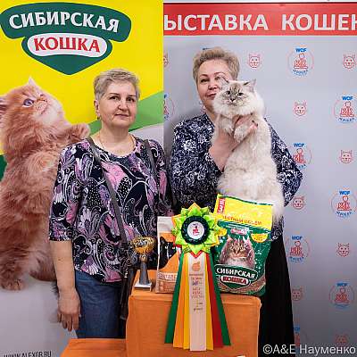   16-17.04.2022  2-47-0132_Moskva_16042022.jpg
