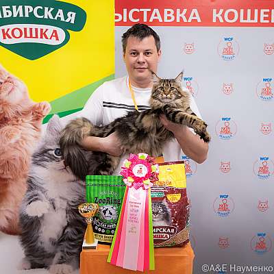   16-17.04.2022  4-27-0309_Moskva_17042022.jpg