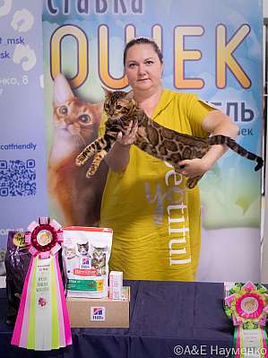 10-51-IMG_6135.jpg
