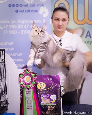   23-24.07.2022  5-18-image535.jpg