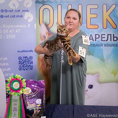   23-24.07.2022  8-51-image23.jpg