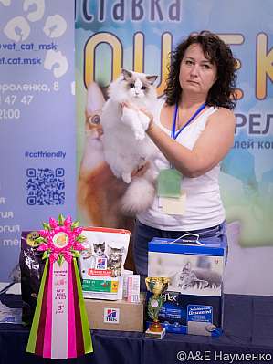 3-102-IMG_5629.jpg