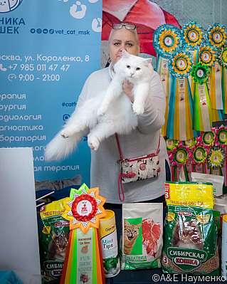   17-18.09.2022  9-40-0337_klk_Moskva.jpg