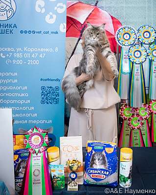   17-18.09.2022  4-116-0109_klk_Moskva.jpg