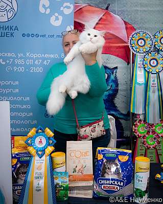   17-18.09.2022  4-40-0195_klk_Moskva.jpg