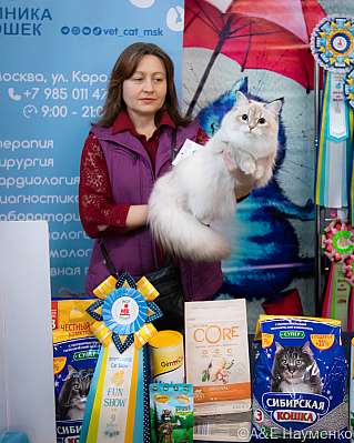   17-18.09.2022  9-36-0184_klk_Moskva.jpg