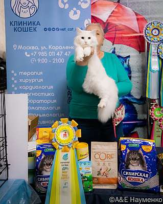   17-18.09.2022  4-40-0037_klk_Moskva.jpg