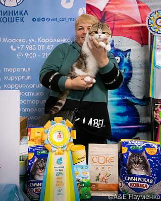   17-18.09.2022  6-86-0041_klk_Moskva.jpg