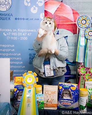   17-18.09.2022  8-33-0029_klk_Moskva.jpg