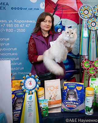   17-18.09.2022  6-36-0113_klk_Moskva.jpg