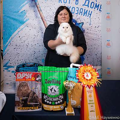   15-16.10.2022  14-29-0416_klk_Moskva.jpg
