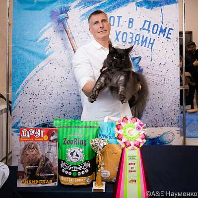   15-16.10.2022  15-20-0410_klk_Moskva.jpg
