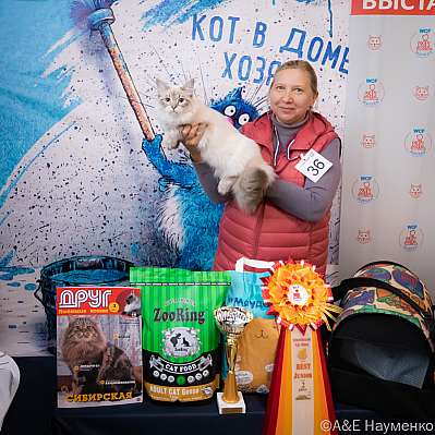  15-16.10.2022  8-36-0444_klk_Moskva.jpg