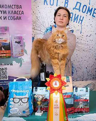   15-16.10.2022  1-6-0403_klk_Moskva.jpg