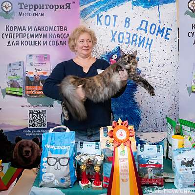   15-16.10.2022  4-12-0398_klk_Moskva.jpg