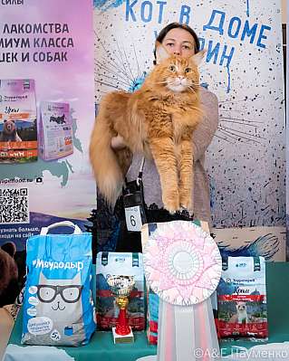   15-16.10.2022  8-6-0402_klk_Moskva.jpg