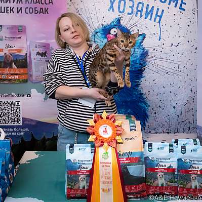   15-16.10.2022  9-94-0325_klk_Moskva.jpg