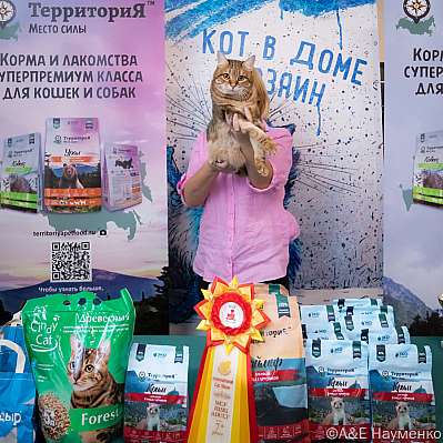   15-16.10.2022  7-91-0281_klk_Moskva.jpg