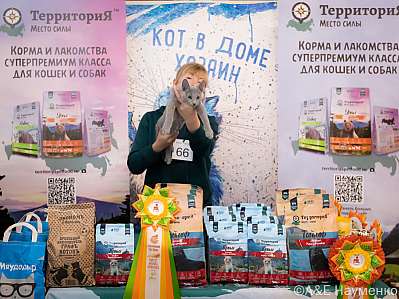   15-16.10.2022  9-66-0250_klk_Moskva.jpg