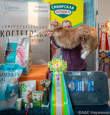   18-19.03.2023  15-14-0428_Moskva.jpg