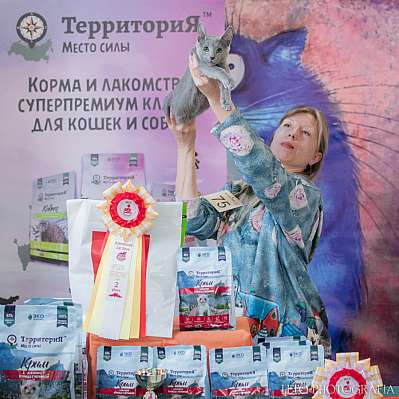   15-16.04.2023   2-74-303.jpg