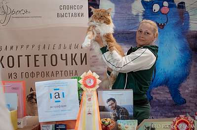   22-23.07.2023  2-4-347.jpg