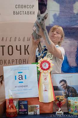   22-23.07.2023  3-63-342.jpg