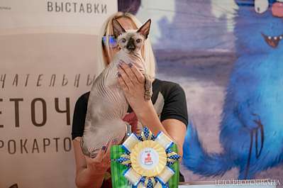   22-23.07.2023  7-105-196.jpg