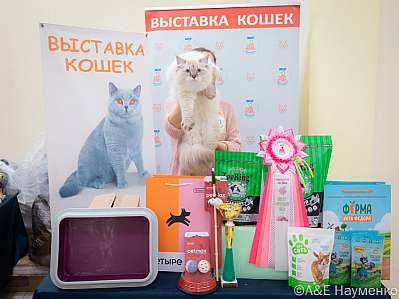   21-22.10.2023  5-32-IMG_3015.jpg