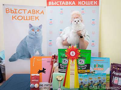   21-22.10.2023  3-85-IMG_1196.jpg
