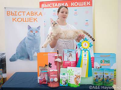   21-22.10.2023  9-93-IMG_3855.jpg