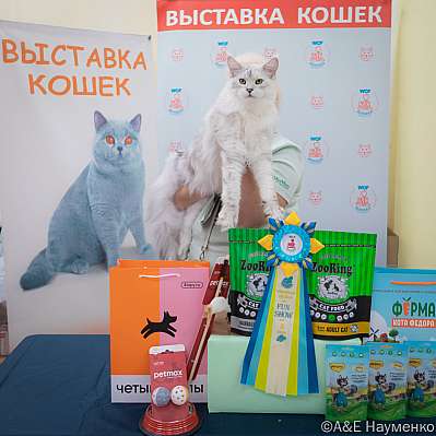   21-22.10.2023  8-84-IMG_2303.jpg